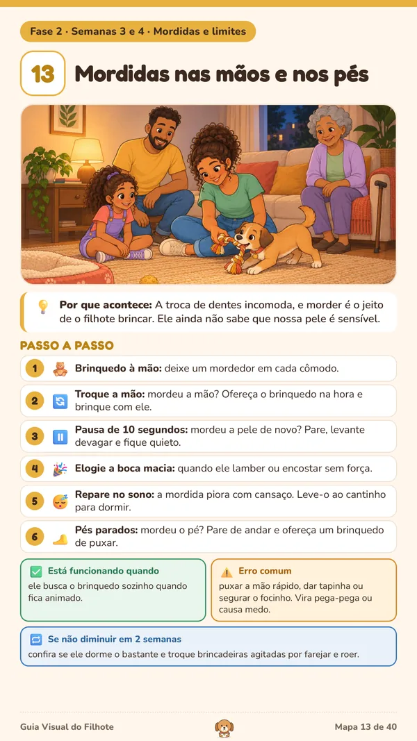 Mapa 13: Mordidas nas mãos e nos pés