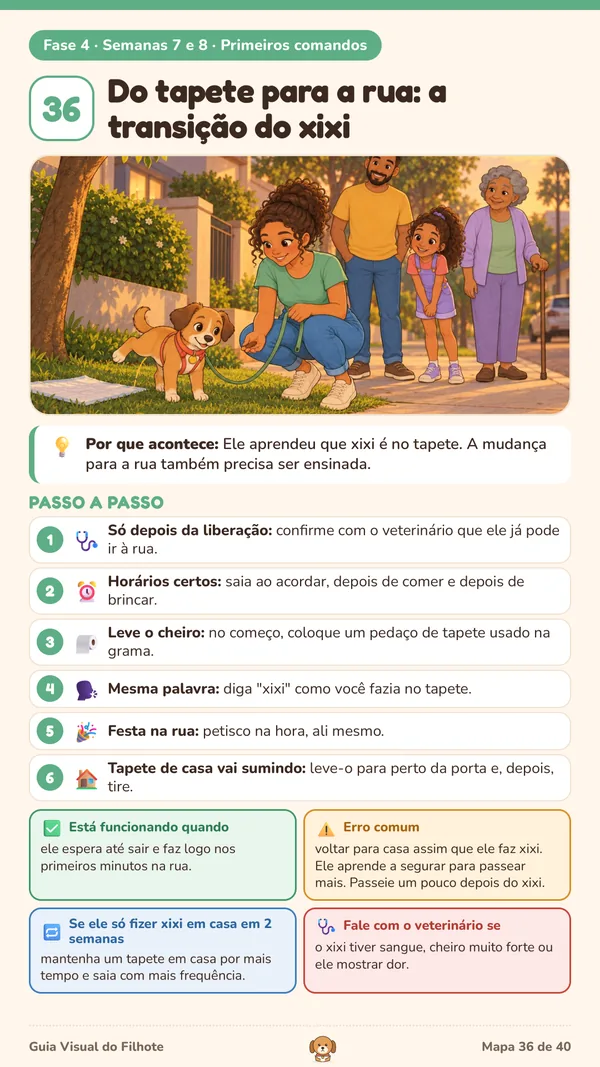 Mapa 36: Do tapete para a rua